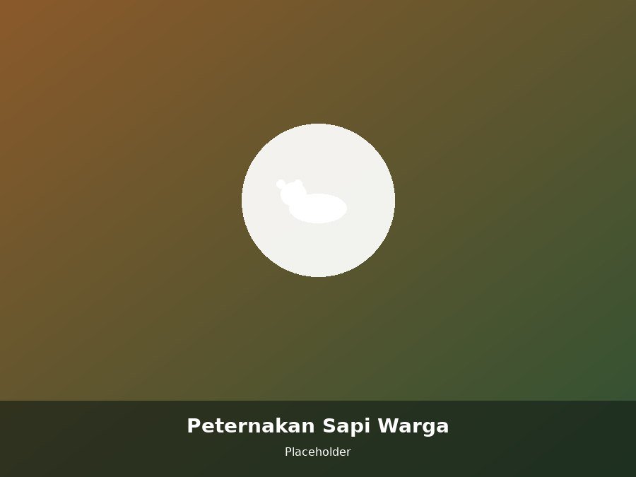 Peternakan Sapi Warga